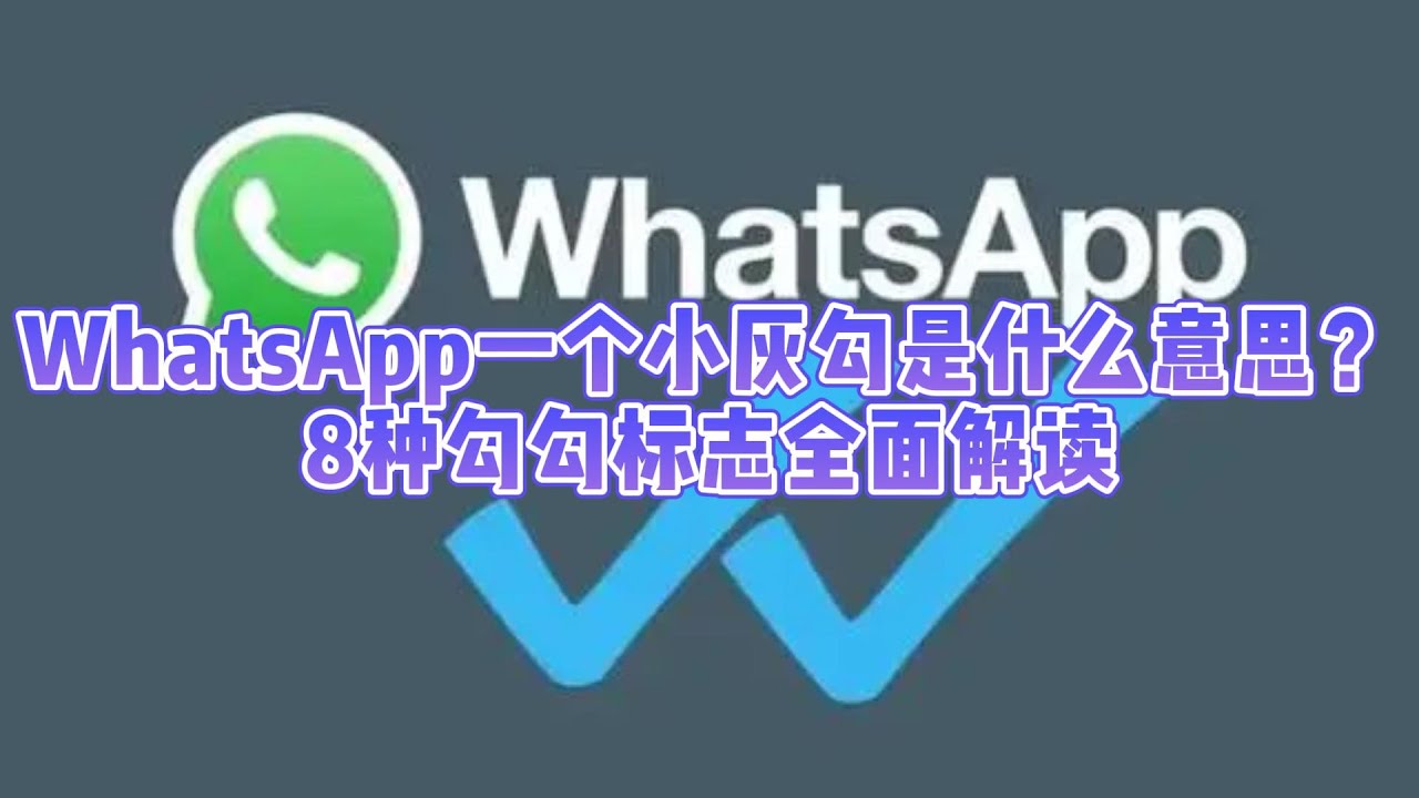 什么情况下WhatsApp是一个勾？