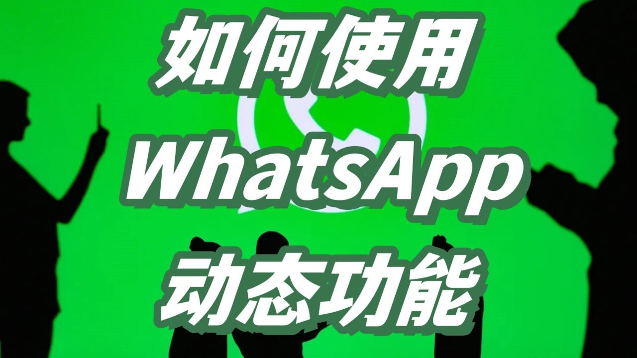 为什么别人看不到我的WhatsApp动态？