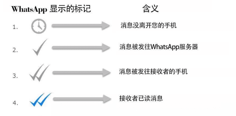 WhatsApp已读是什么标志？