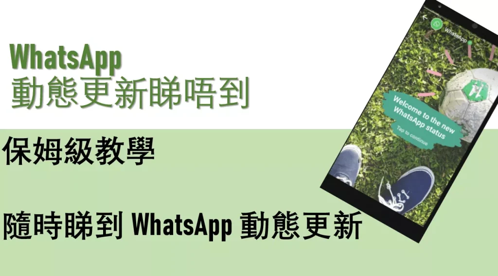 WhatsApp为什么看不到别人的动态？